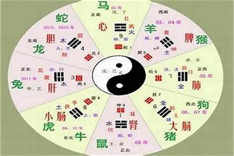 陳的五行屬性|陈字的五行属性是什么